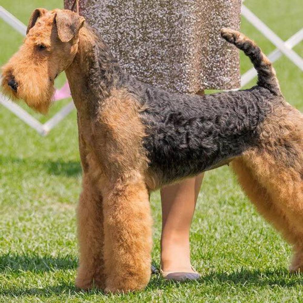 Meet your Posher, Marguerite